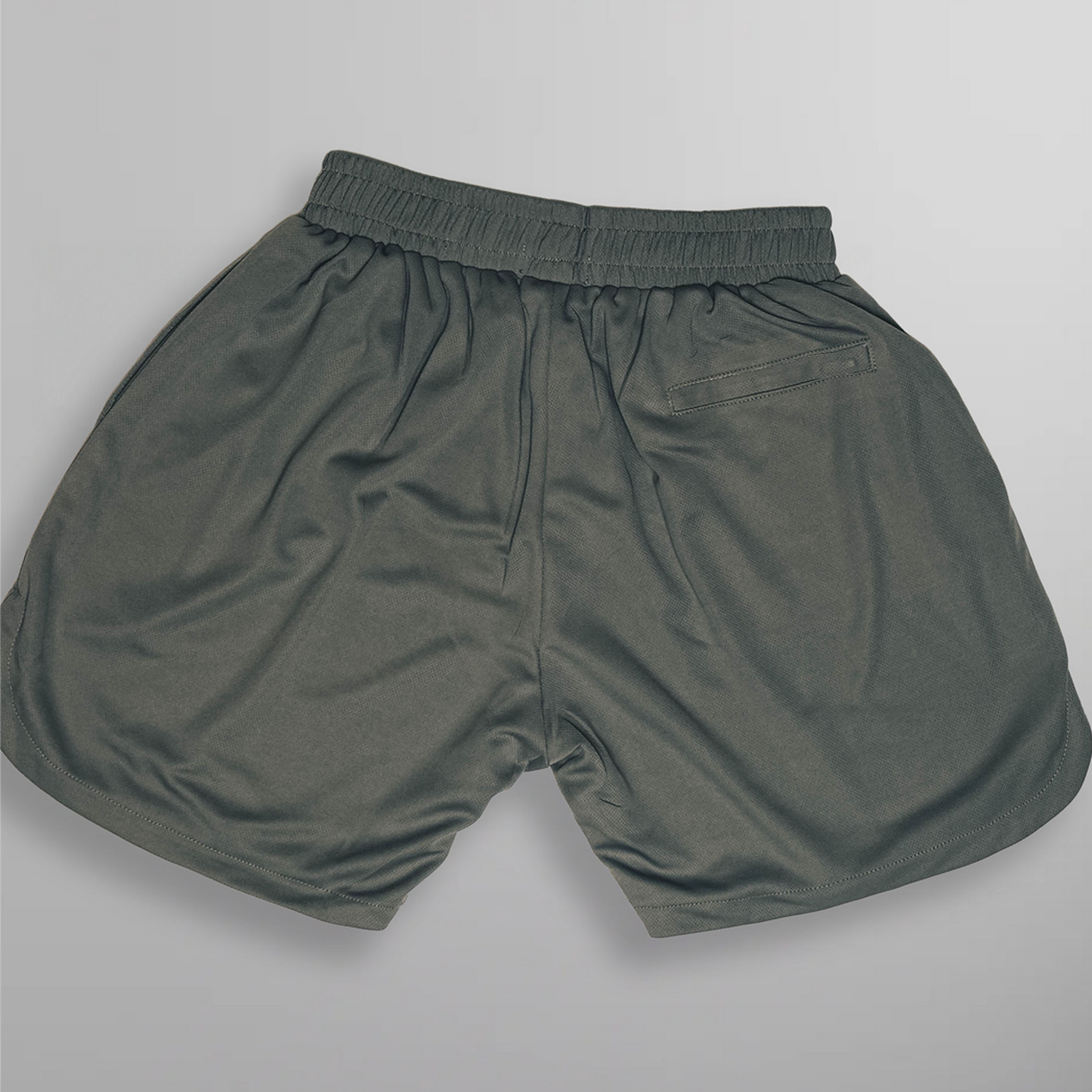 PV Mesh Mens Shorts [silver]